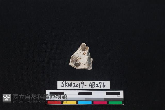 獸骨藏品圖，第1張