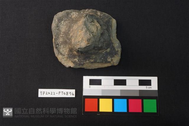 陶蓋鈕藏品圖，第1張