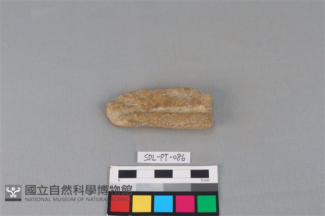 陶把藏品圖，第1張