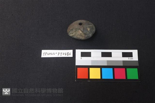 陶紡輪藏品圖，第1張