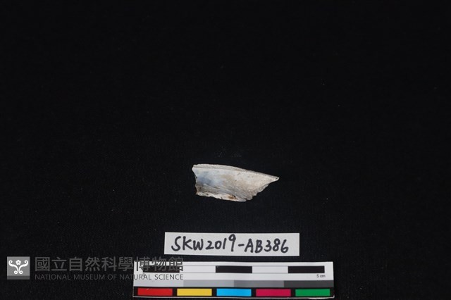 獸骨藏品圖，第1張