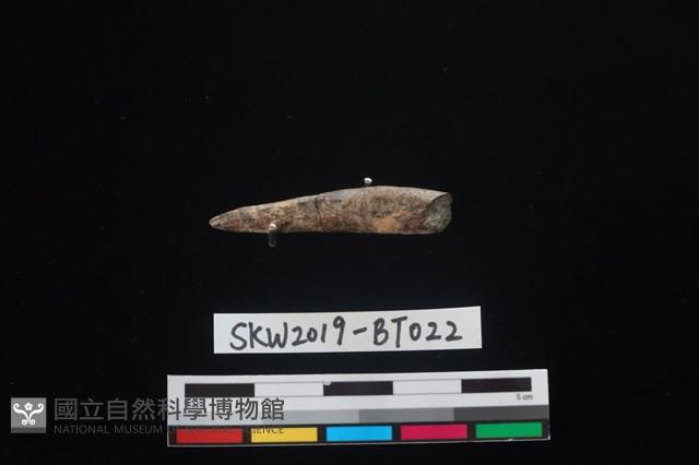 魚卡子藏品圖，第1張