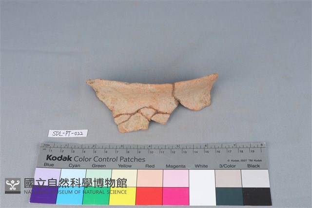 陶罐藏品圖，第1張