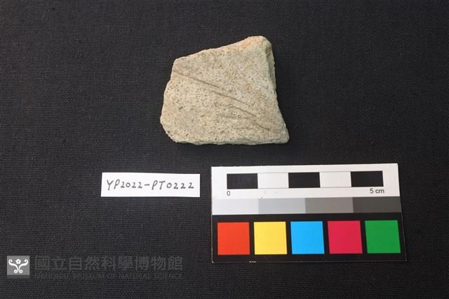 陶片藏品圖，第1張