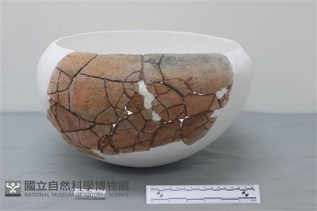 陶缸藏品圖，第1張