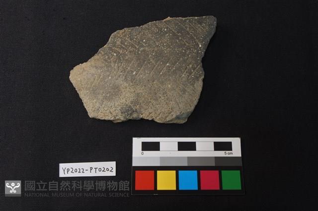 陶片藏品圖，第1張