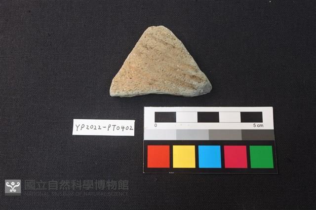 陶片藏品圖，第1張