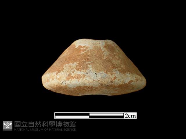 陶紡輪藏品圖，第1張