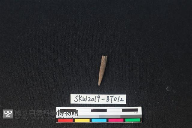 骨尖器藏品圖，第1張