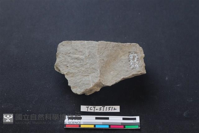 斧鋤形器藏品圖，第1張