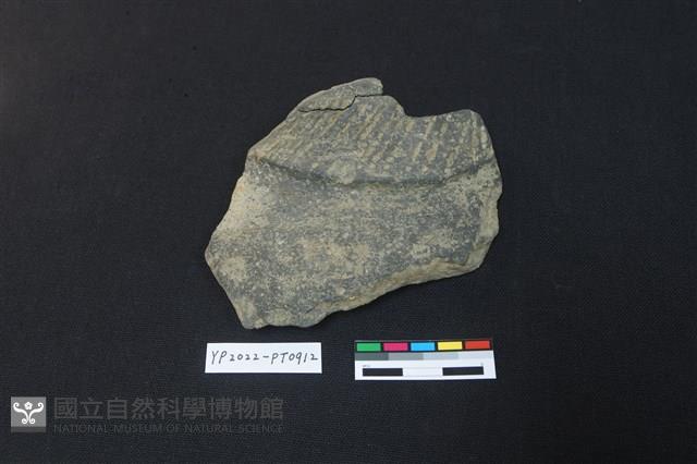 陶片藏品圖，第1張