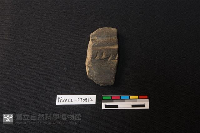 陶片藏品圖，第1張