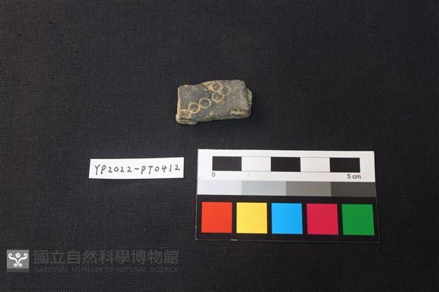 陶片藏品圖，第1張