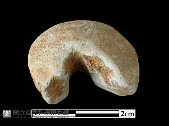 陶紡輪藏品圖，第1張