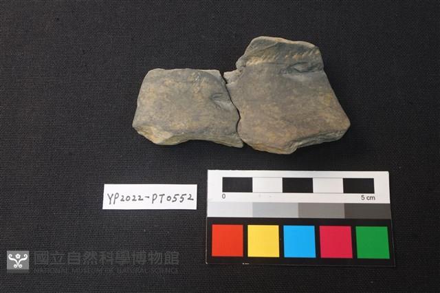 陶片藏品圖，第1張