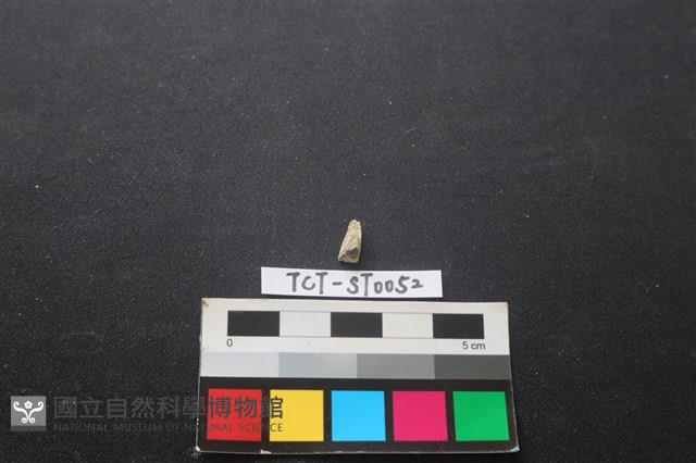 帶加工痕玉材藏品圖，第1張