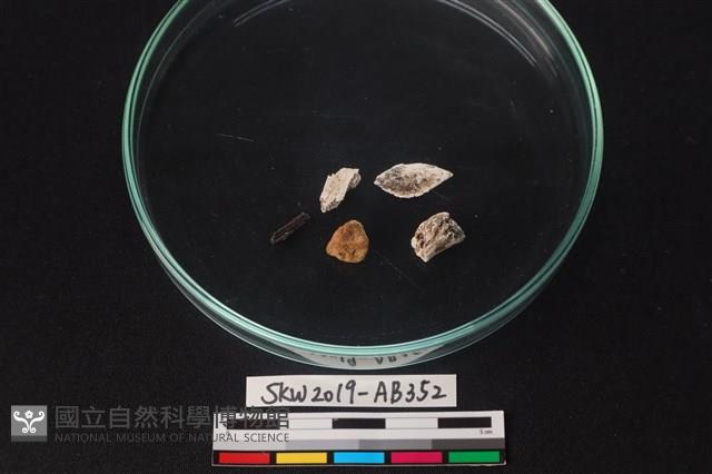 獸骨藏品圖，第1張