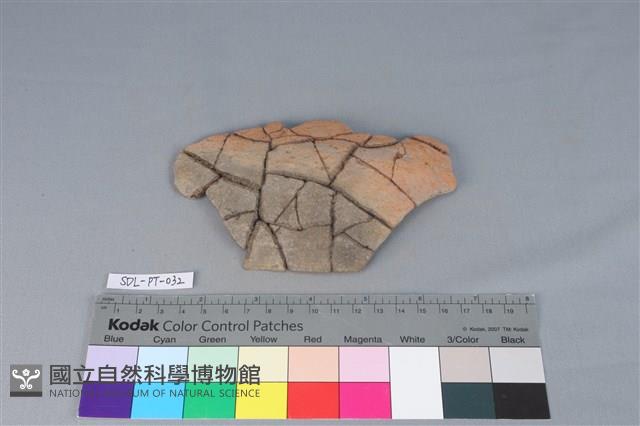 陶片藏品圖，第1張