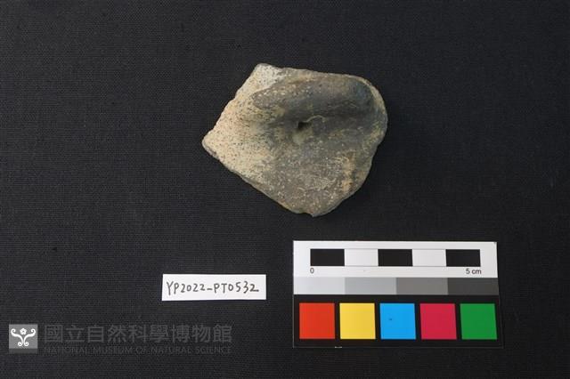陶片藏品圖，第1張
