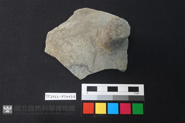 覆碗型陶蓋藏品圖，第1張