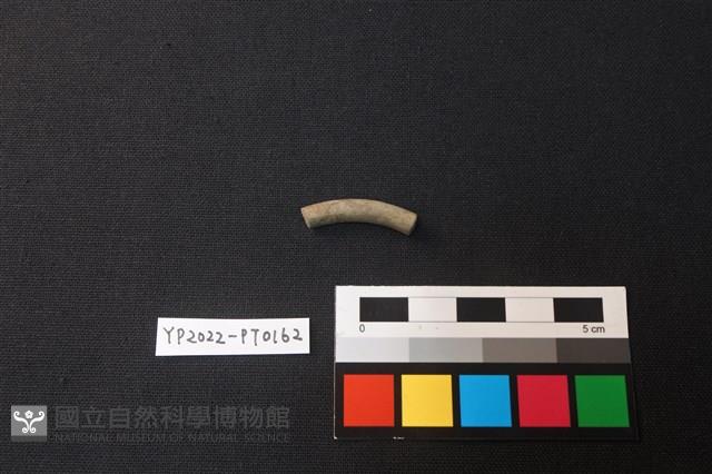 陶環藏品圖，第1張