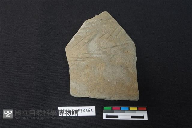 陶片藏品圖，第1張