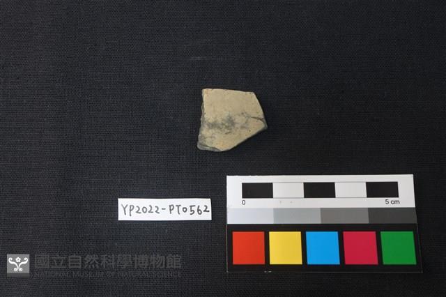 陶片藏品圖，第1張