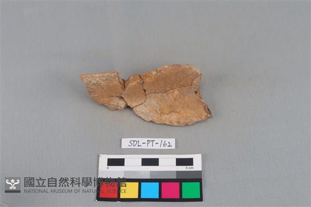 陶罐藏品圖，第1張