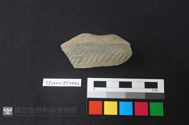 陶片藏品圖，第1張