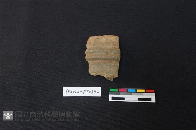陶片藏品圖，第1張
