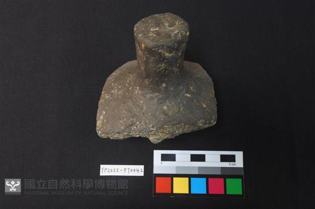 覆碗型陶蓋藏品圖，第1張