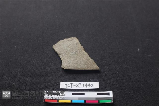 石刀藏品圖，第1張