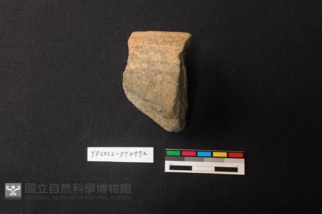 陶片藏品圖，第1張