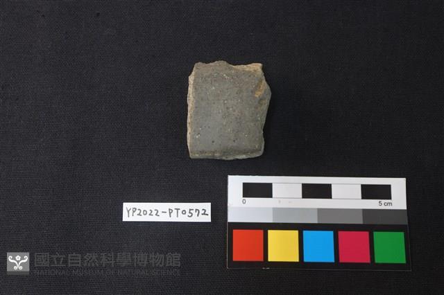 陶片藏品圖，第1張