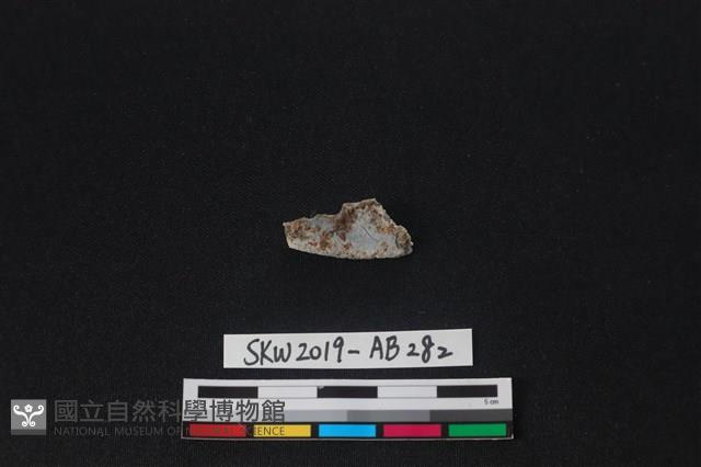 獸骨藏品圖，第1張