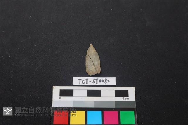 矛鏃形器藏品圖，第1張