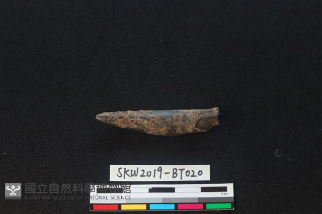 魚卡子藏品圖，第1張