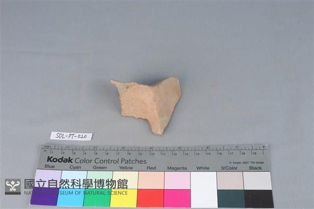 連杯形器藏品圖，第1張