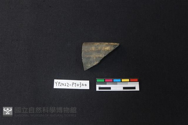 陶片藏品圖，第1張