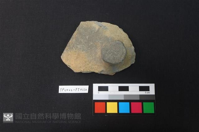 覆碗型陶蓋藏品圖，第1張