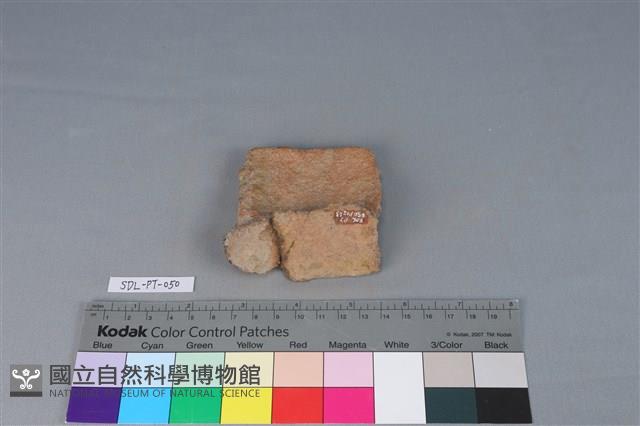 陶罐藏品圖，第1張