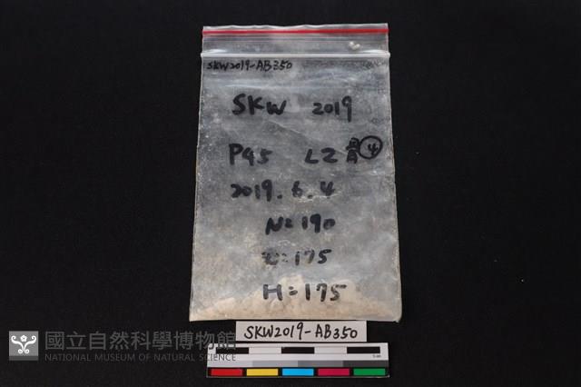 獸骨藏品圖，第1張