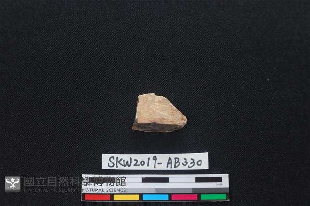 獸骨藏品圖，第1張