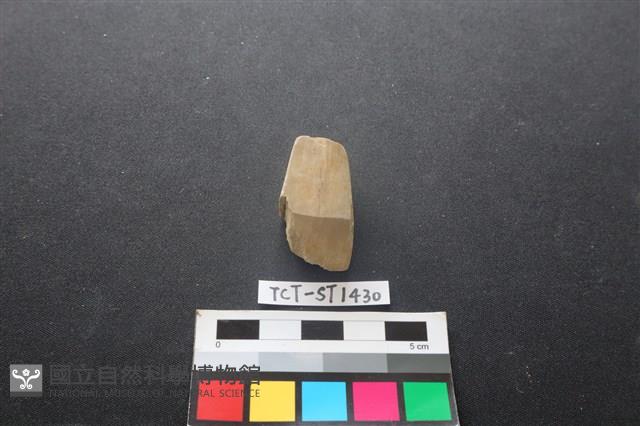 錛鑿形器藏品圖，第1張