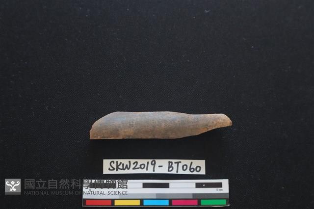 磨製骨器藏品圖，第1張