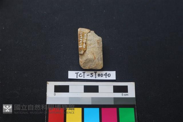 錛鑿形器藏品圖，第1張