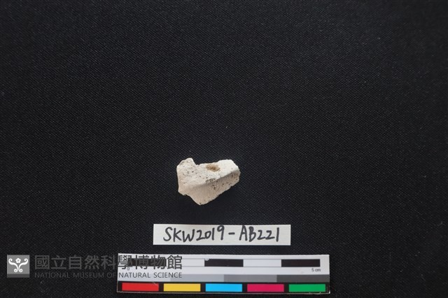 獸骨藏品圖，第1張