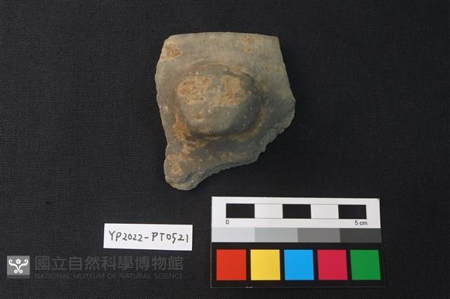 陶片藏品圖，第1張