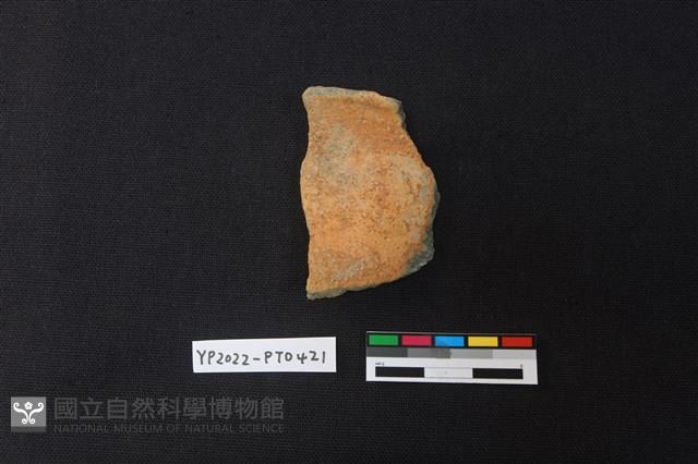 陶片藏品圖，第1張