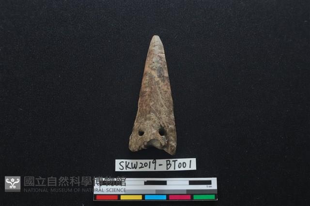 骨鏃藏品圖，第1張